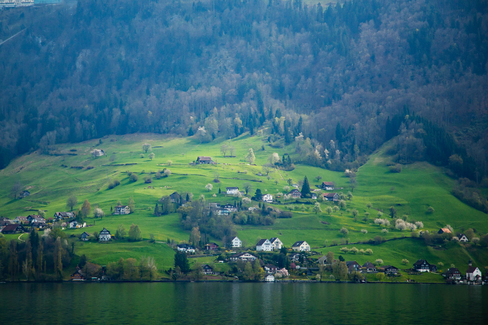 Jennifer engledow shore of lake lucerne original