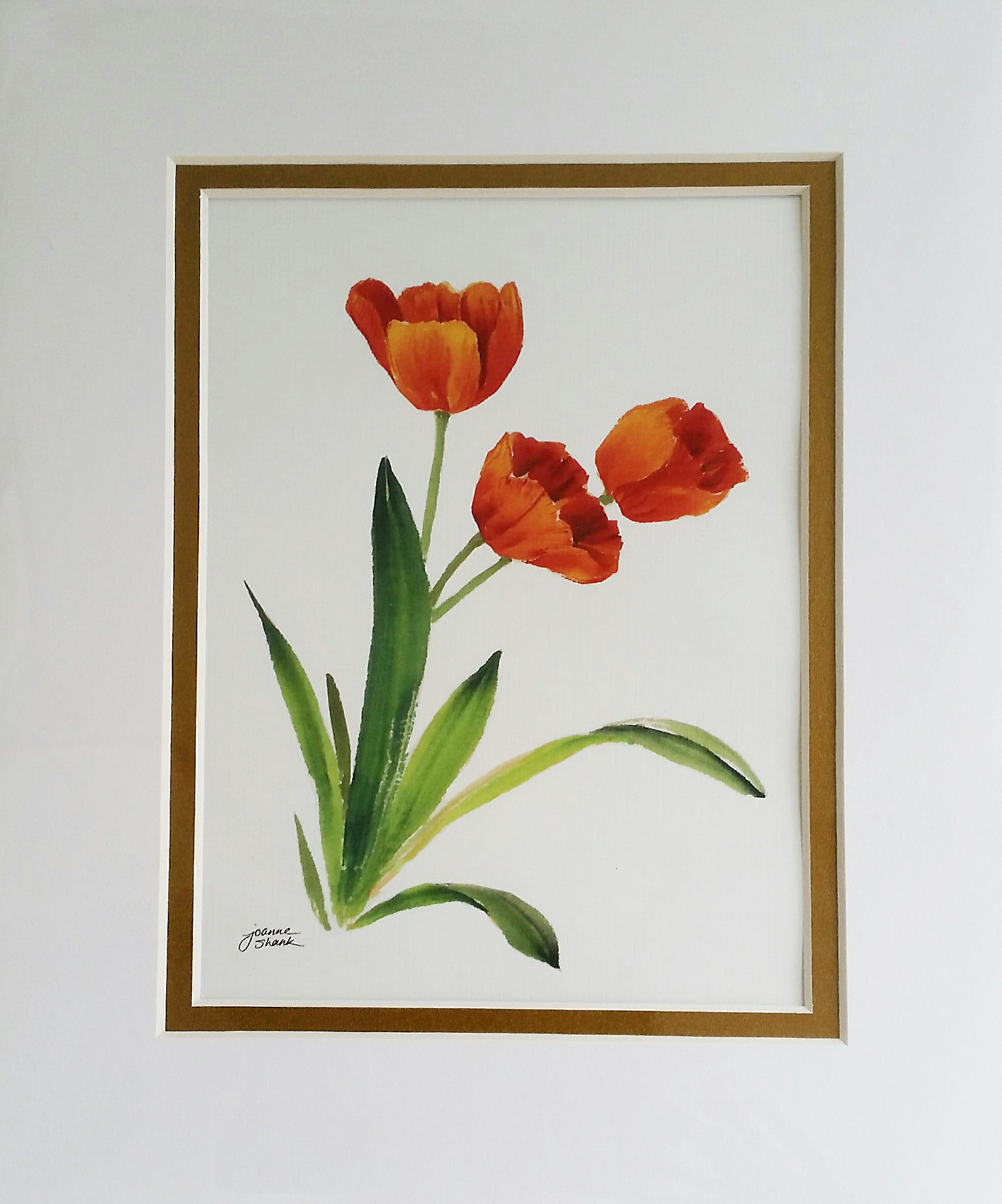 Joanneshanktulips original