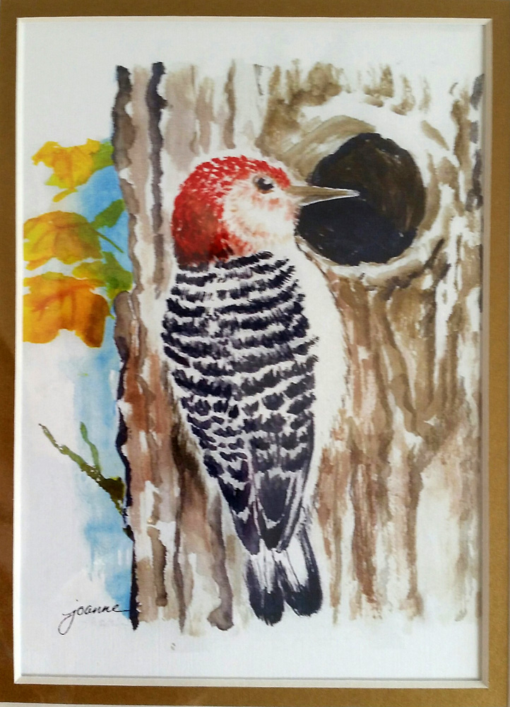 Joanneshankwoodpecker original