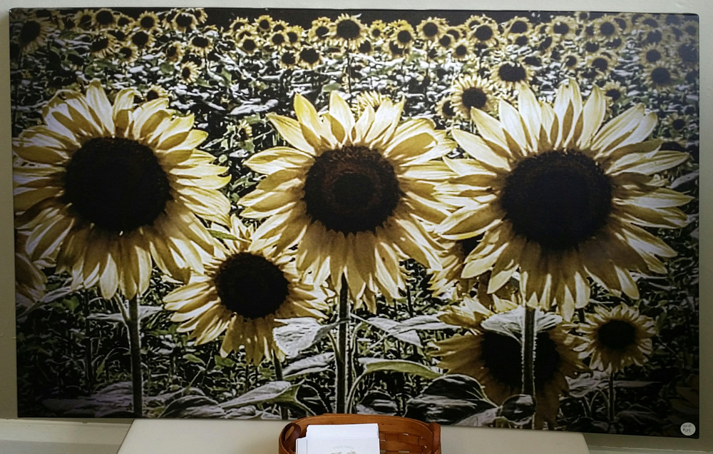 Sunflowers original